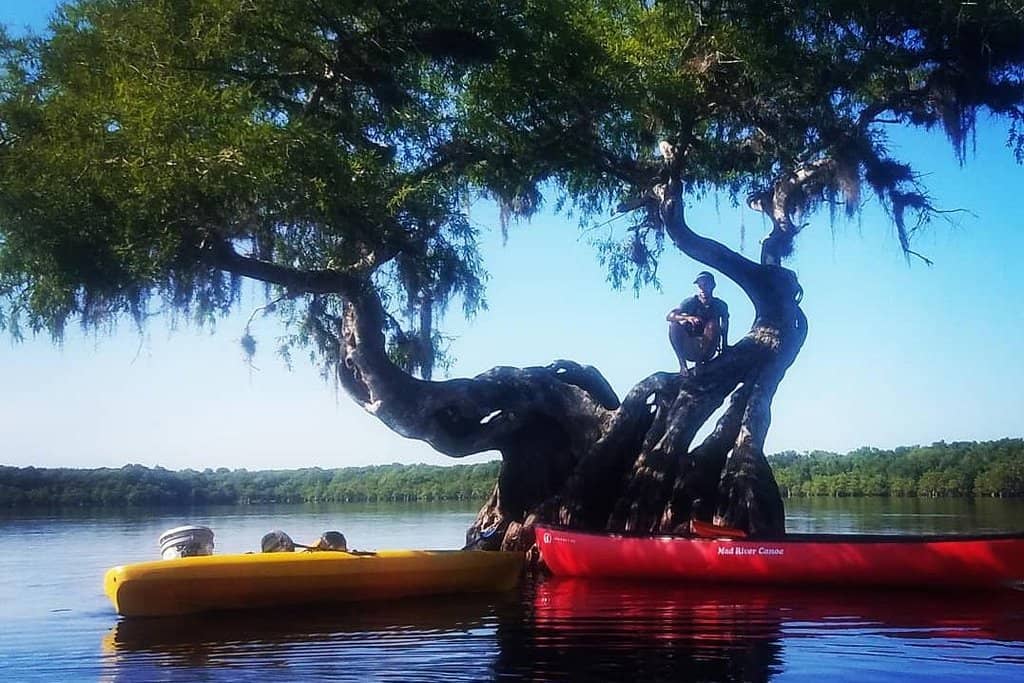 Riverside Relaxation