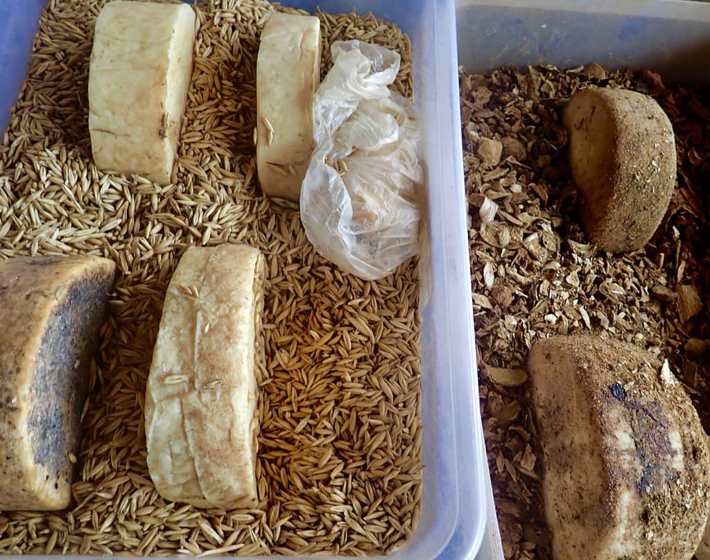 Local Honey & Rakija