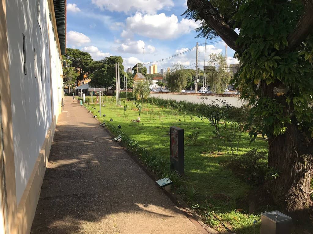 Nativity Scenes (Seasonal)