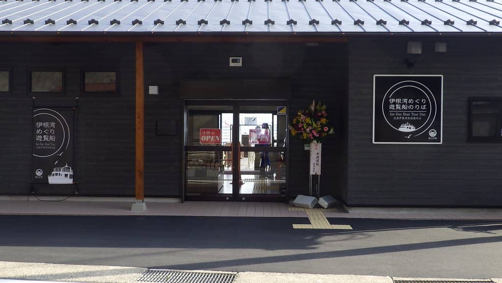 Seagull and Eagle Feeding