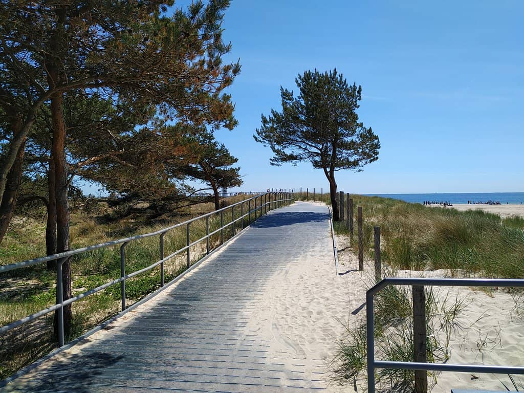 WW2 & Russian Military Artefacts