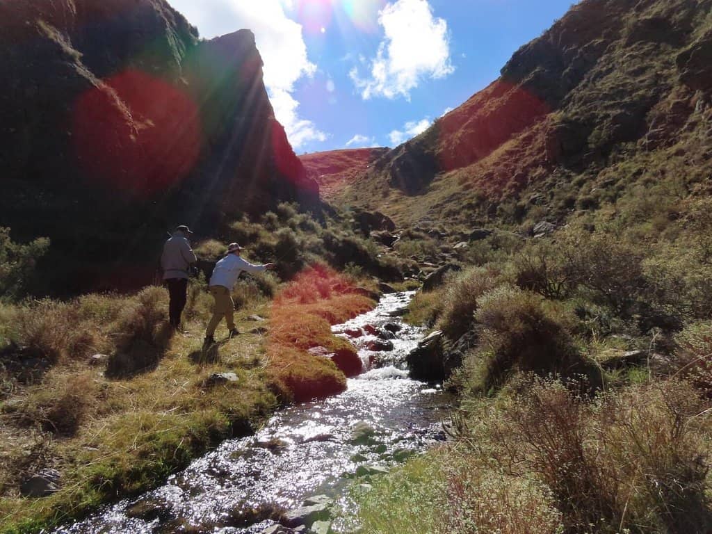 Local Eateries & Cafes