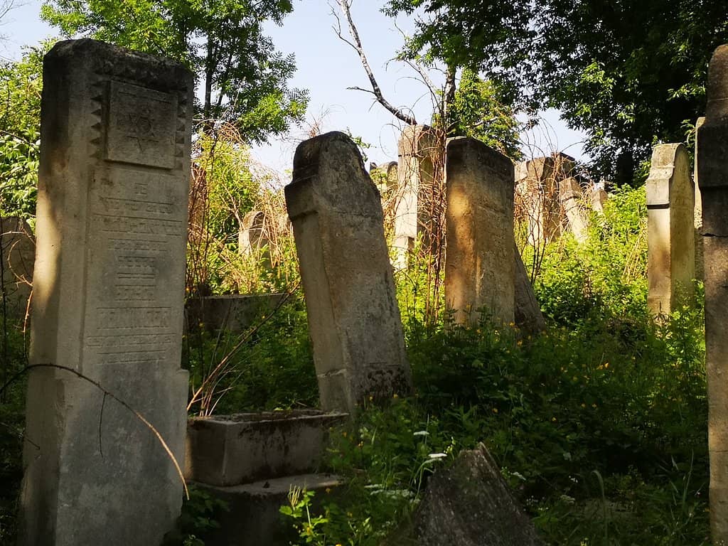 Panoramic City Views