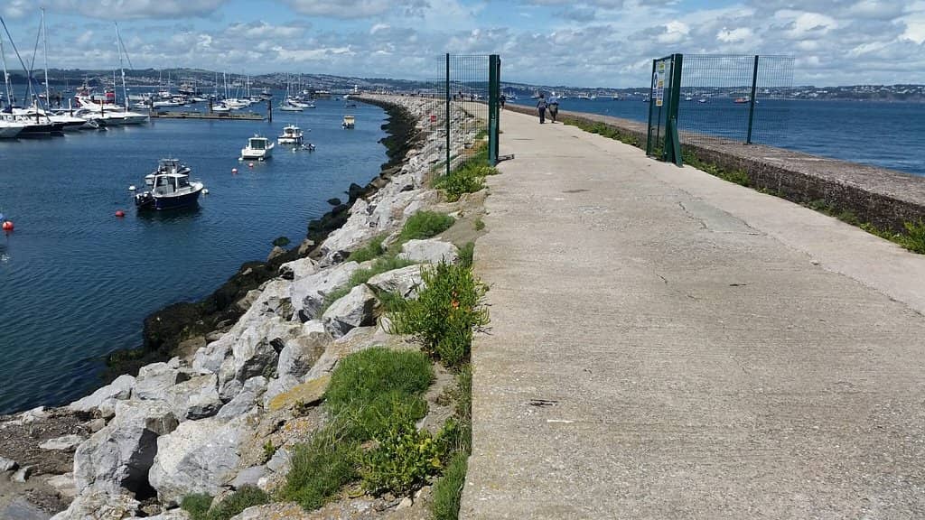 Seal Spotting Adventures