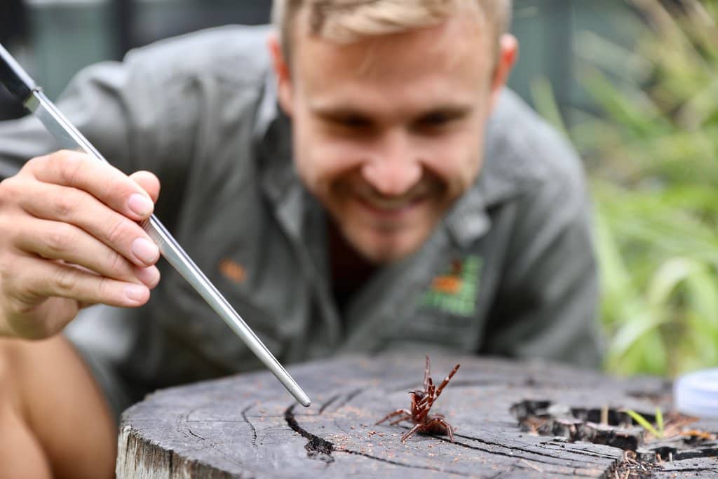 Bluey & Bingo Meet-and-Greet