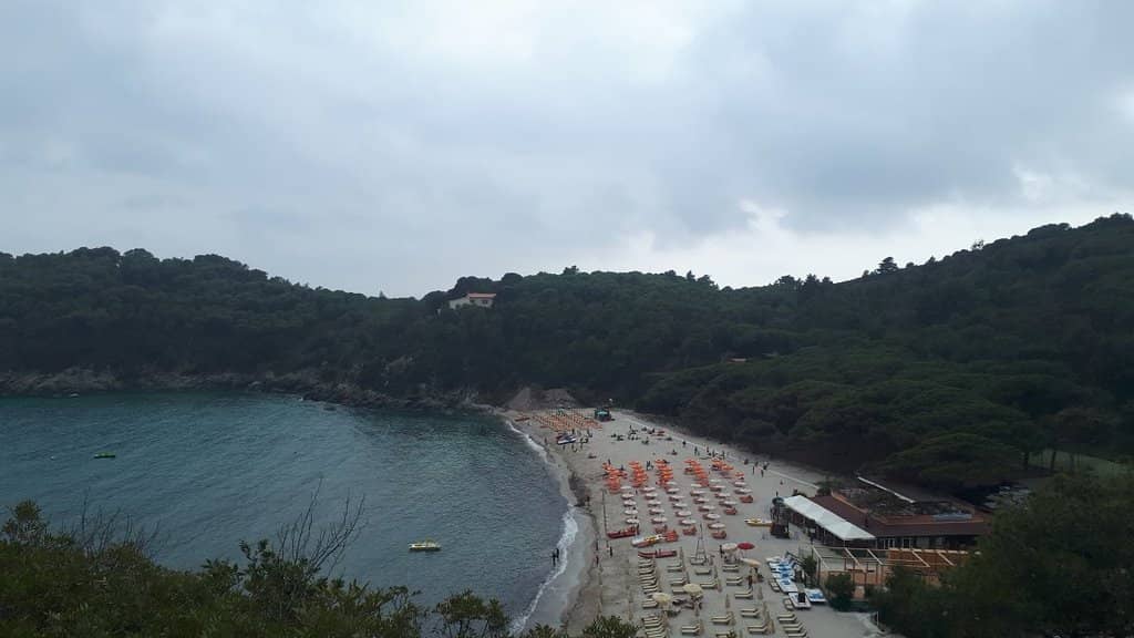 Lush Mediterranean Scrub