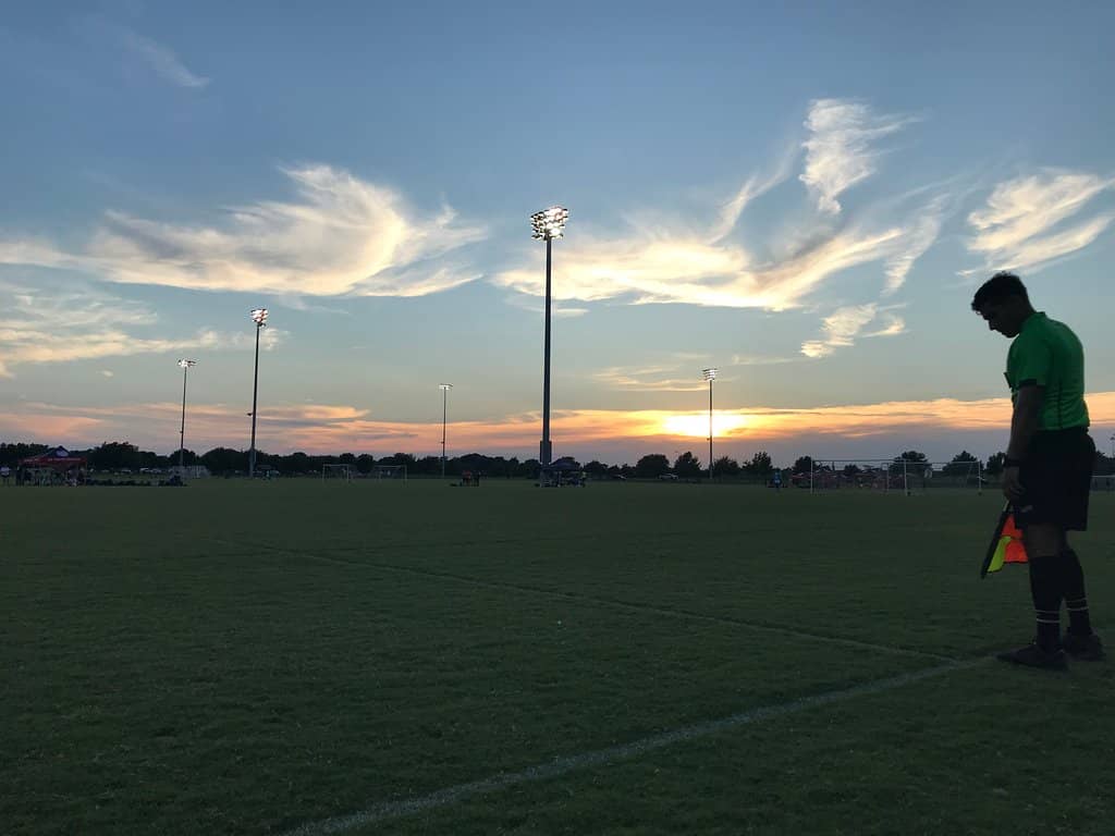 Wildflower Season Beauty