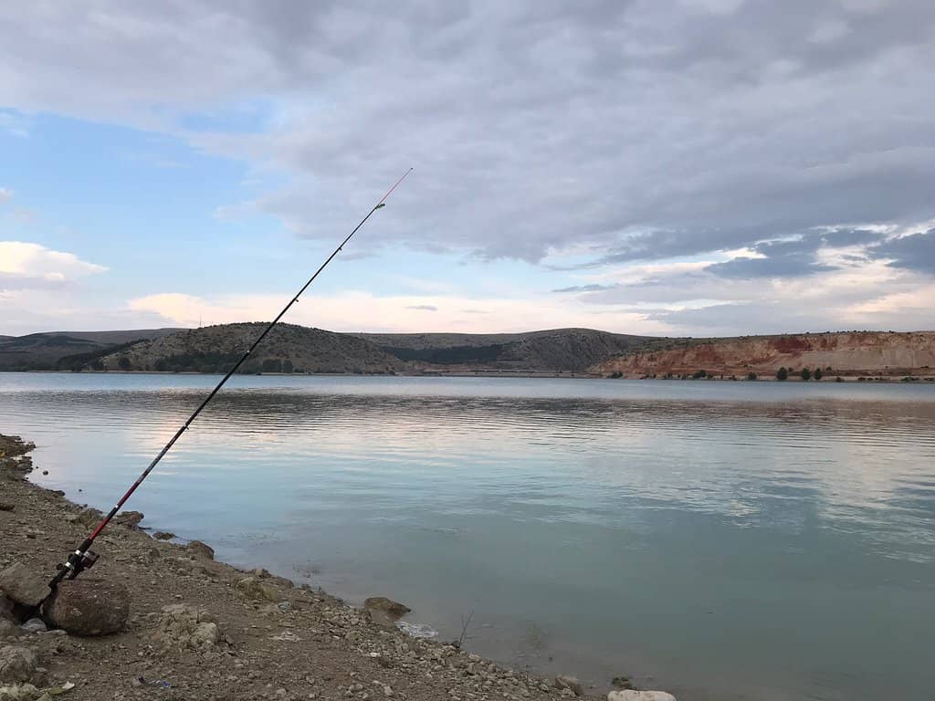 Mysterious Unfinished Sections