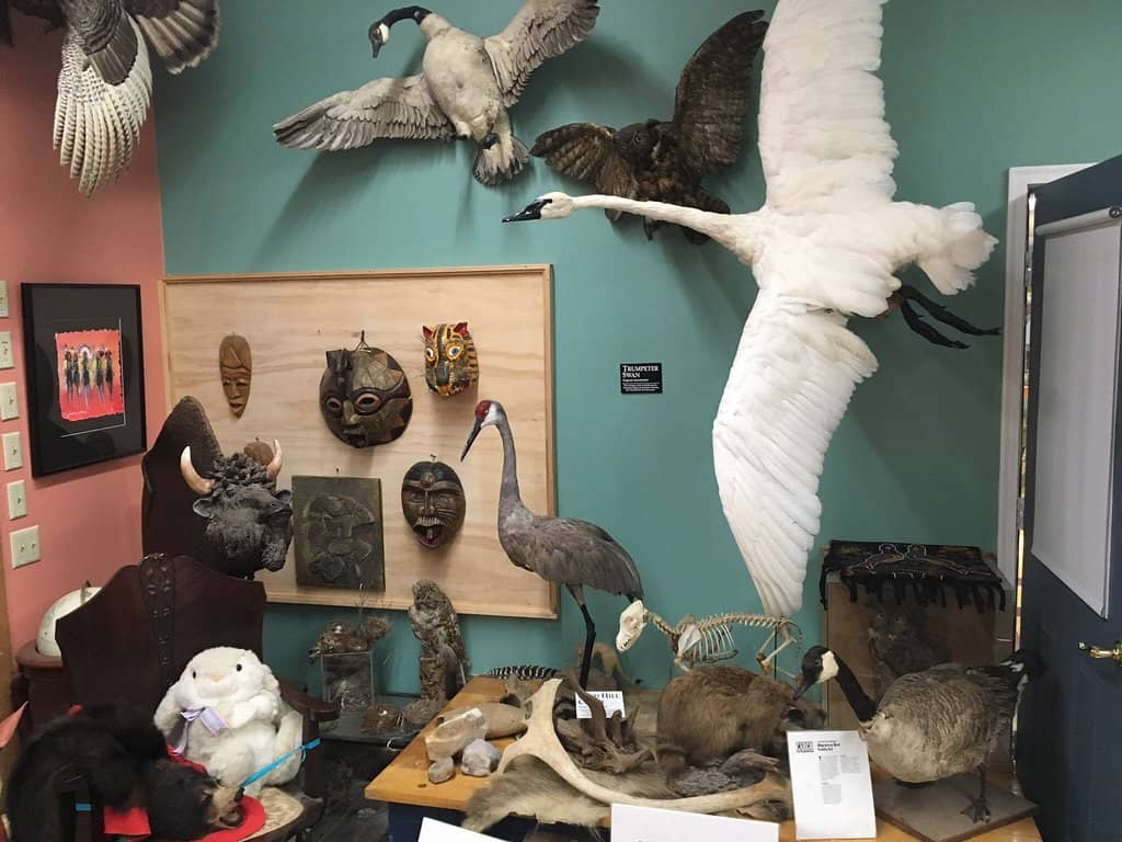 Hands-On Science & History Exhibits