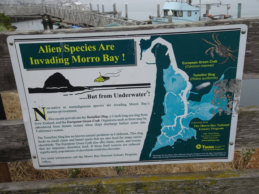 Unique Ship Playground