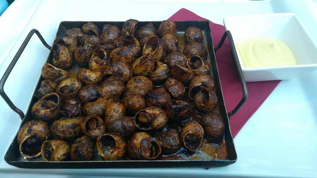 Authentic Spanish Cuisine