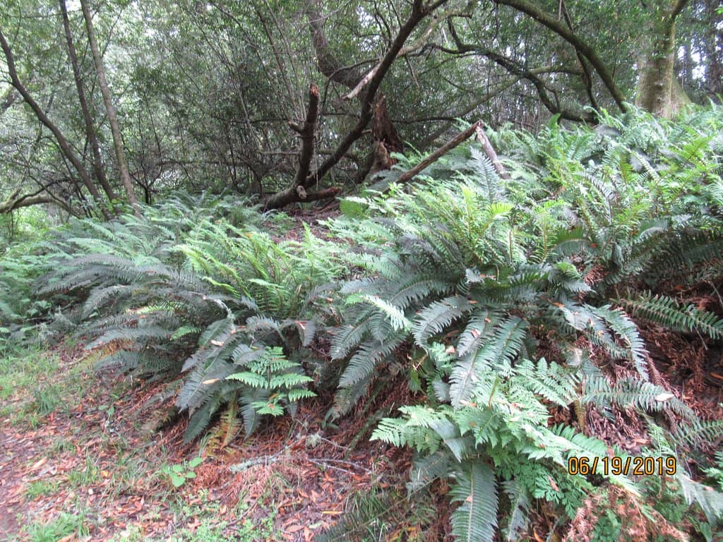 Wildlife Spotting Opportunities