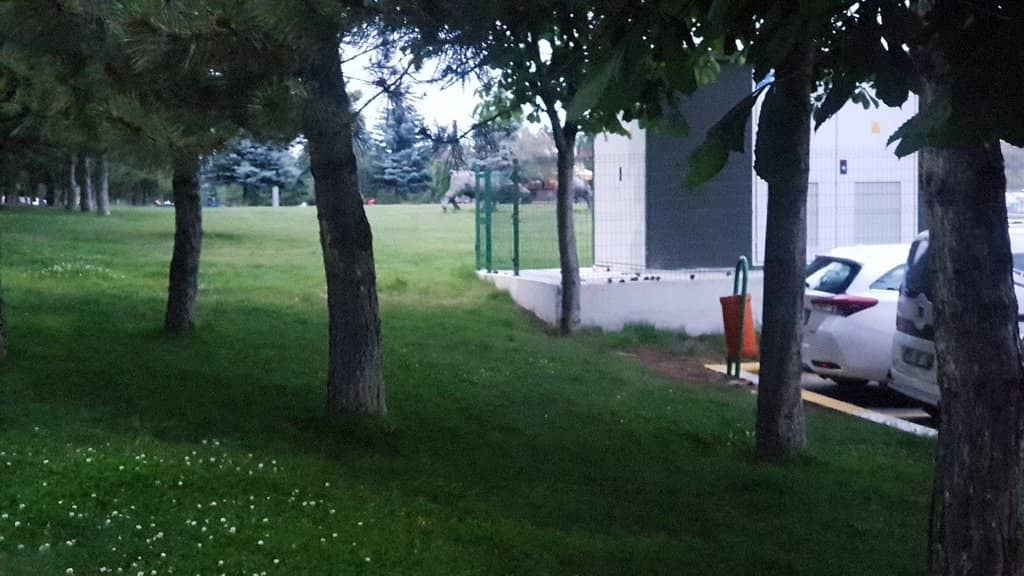 Children's Play Area