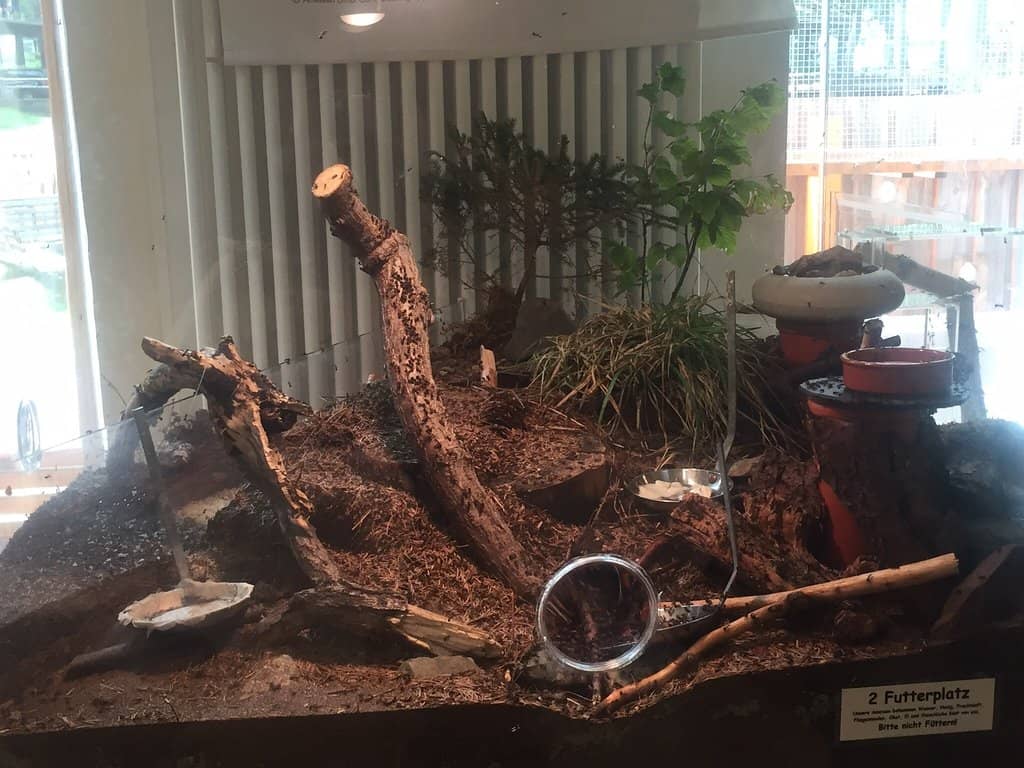 Virtual Exploration Stations