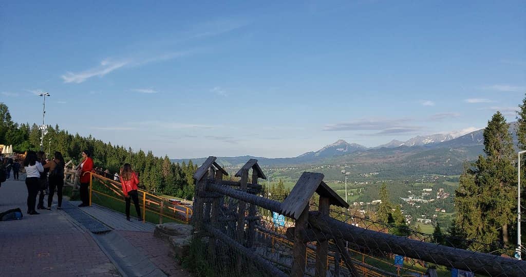 Horse-Drawn Carriage Rides