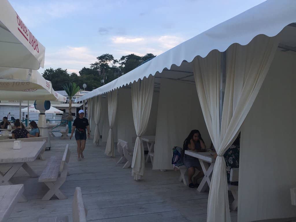 Tranquil Morning Fishing