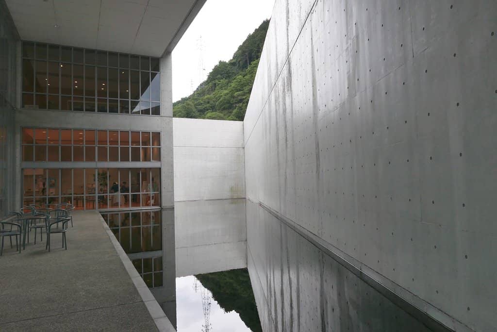 Regional Rocks and Fossils