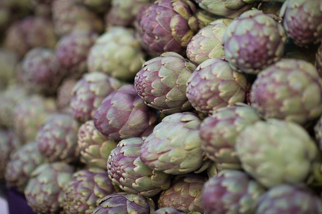 Fresh Flowers & Plants