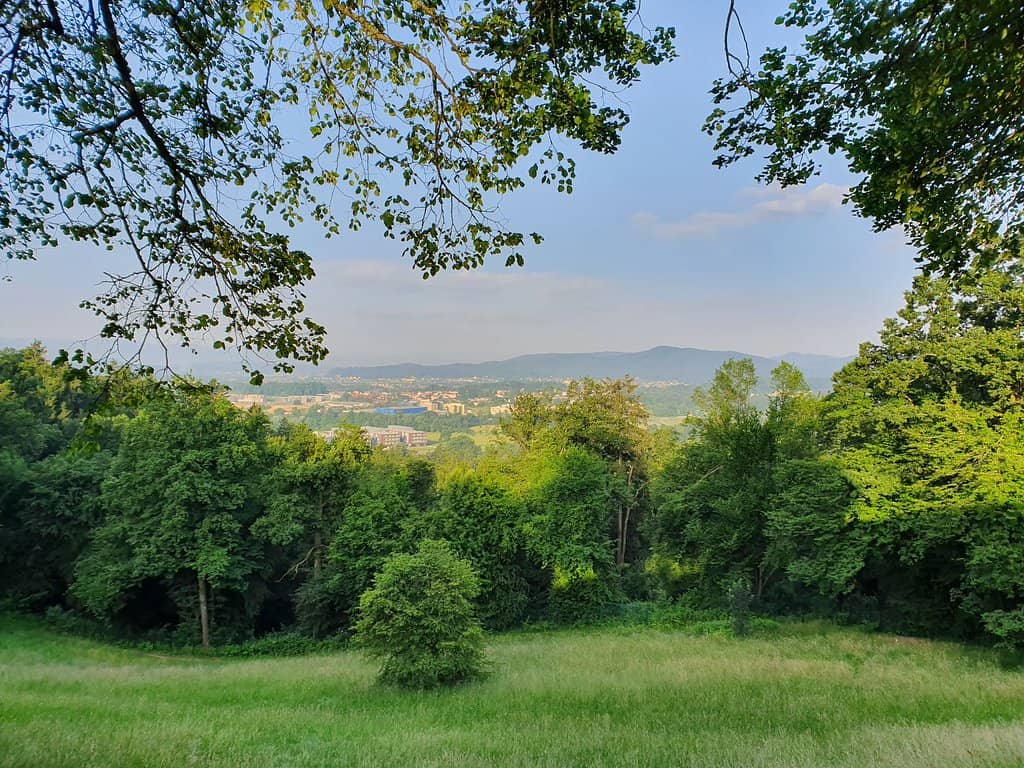 Panoramic City Views