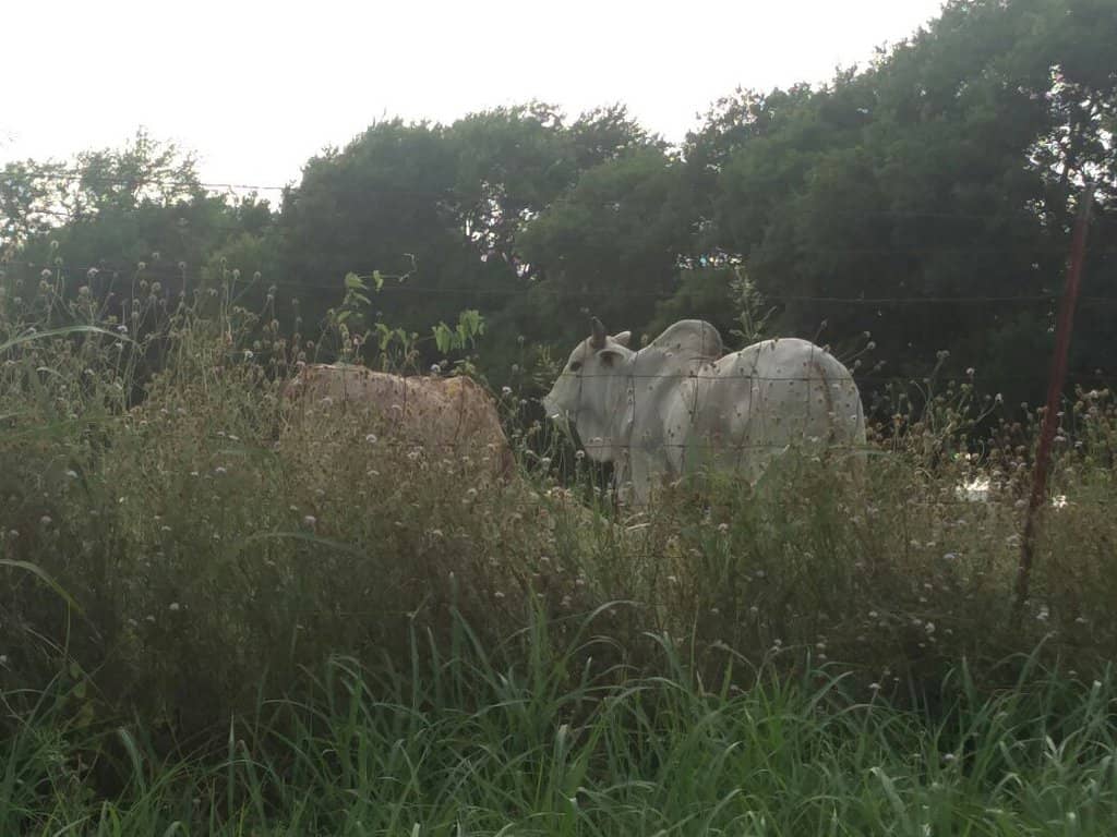 Bike Washing Station