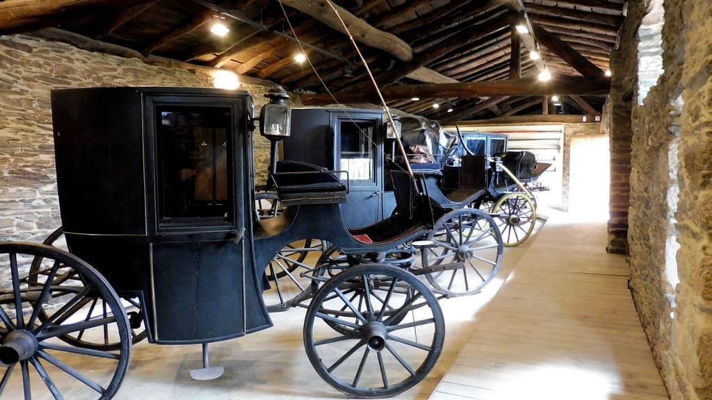 Enthusiastic Guided Tour