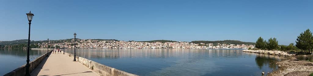 Loggerhead Turtle Spotting