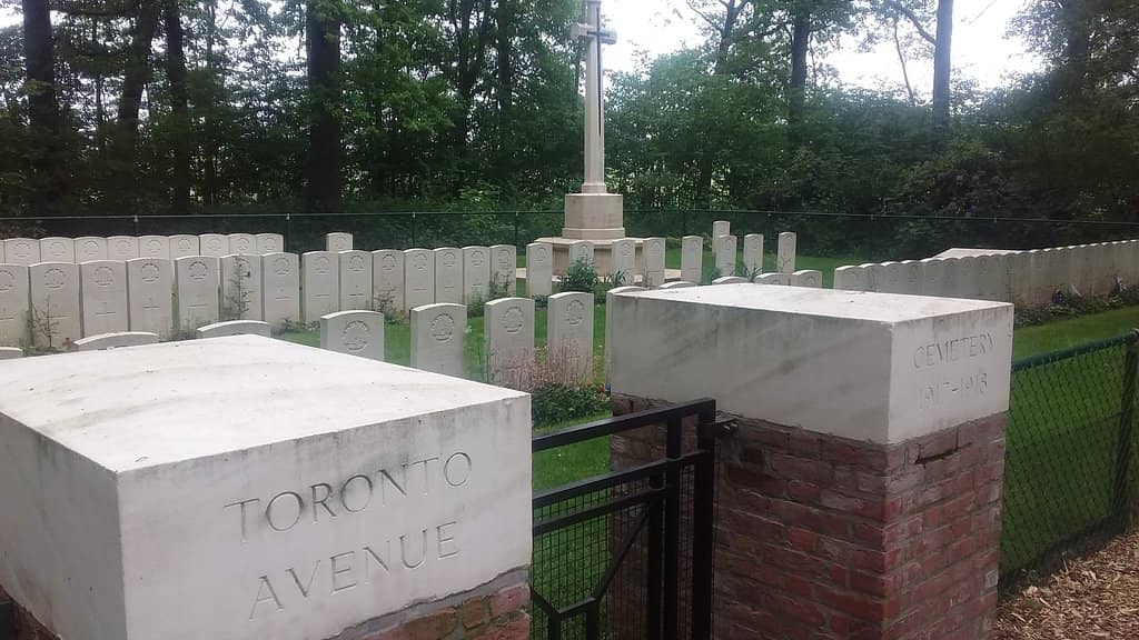 Tranquil Forest Setting