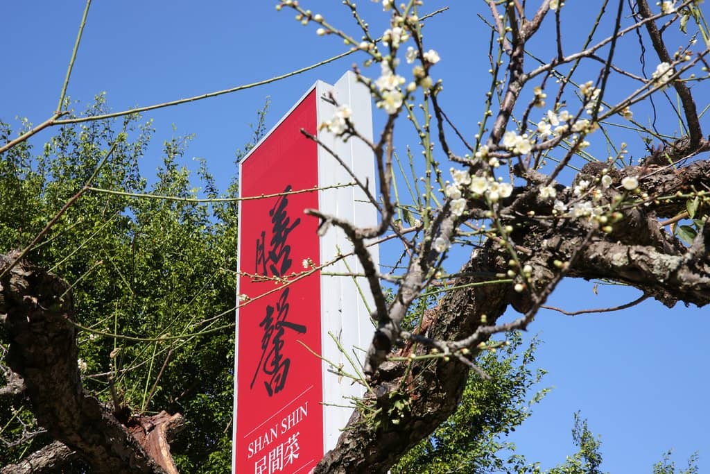 Elegant & Cozy Ambiance