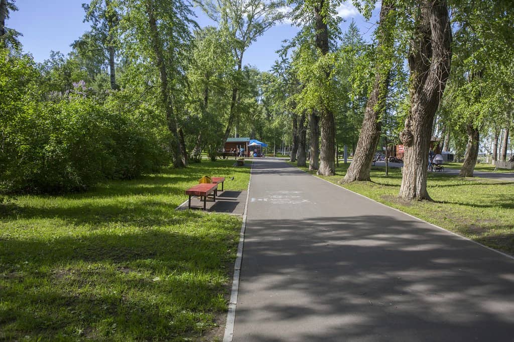 Family-Friendly Atmosphere