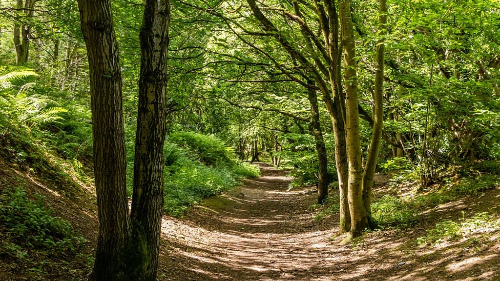 Children's Play Area
