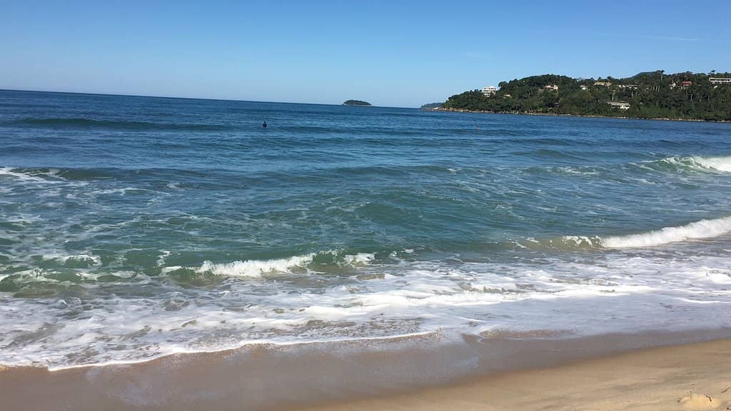 Family-Friendly South End