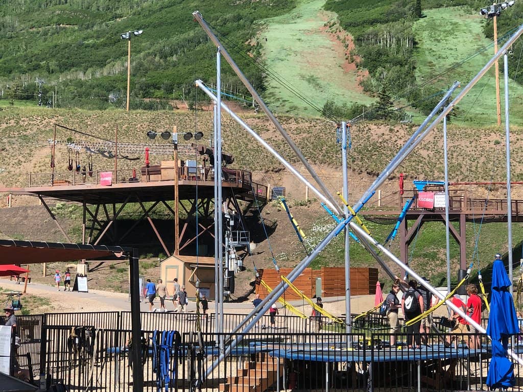 Freestyle Skiing Action