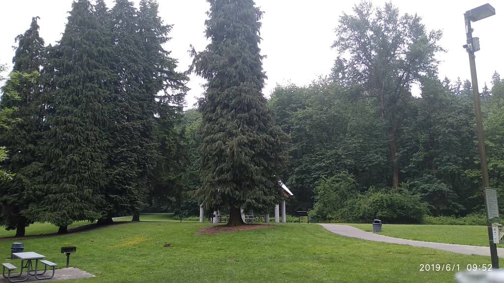Ancient Trees and Meadows