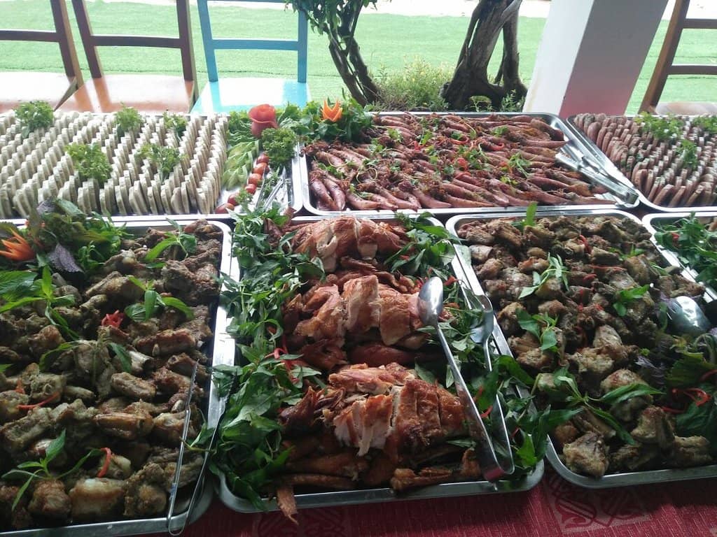 Marine Life Collection