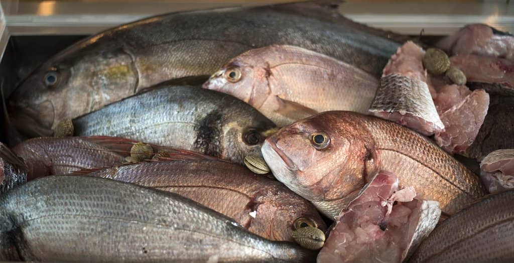 Fresh, Award-Winning Seafood