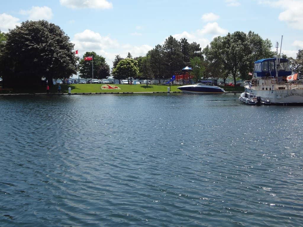 Dog-Friendly Promenade