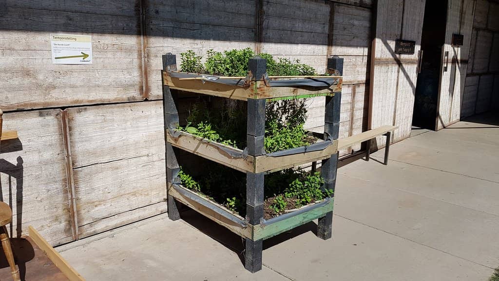 Meet the Farm Animals