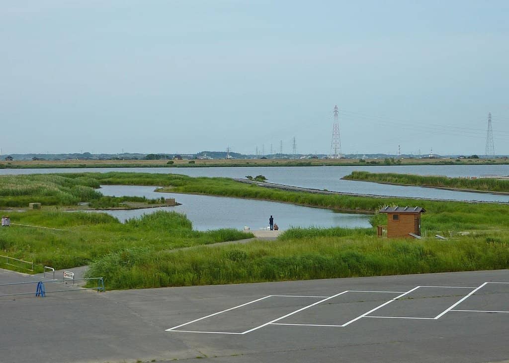 Local Souvenir Shopping