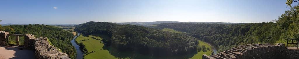 Peregrine Falcon Watching