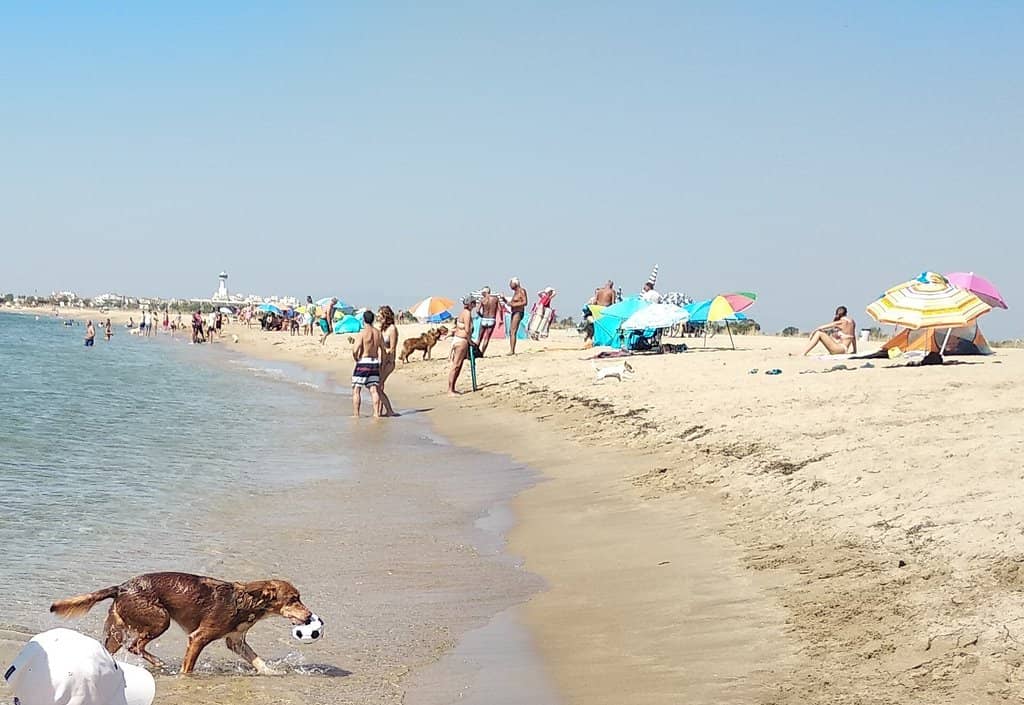 Aiguamolls de l'Empordà Natural Park
