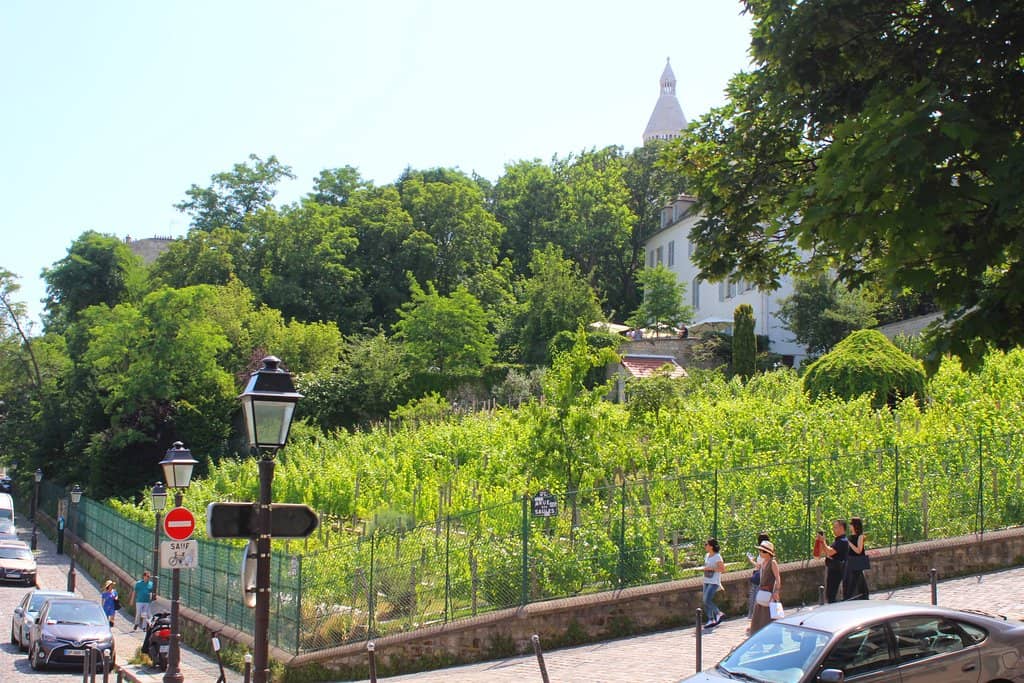 Fête des Vendanges de Montmartre