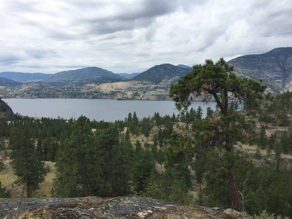 Diverse Hiking Trails