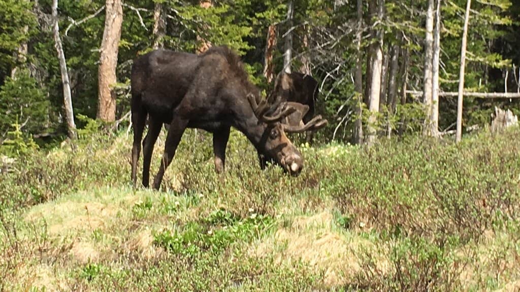 Historic Architecture