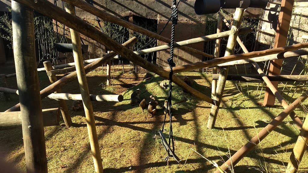 Museum of Biological Collection