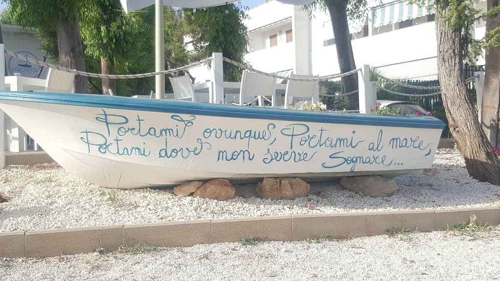 Underwater Marine Life