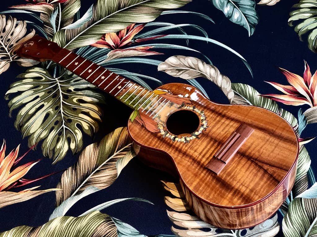 Synthesizer Sanctuary