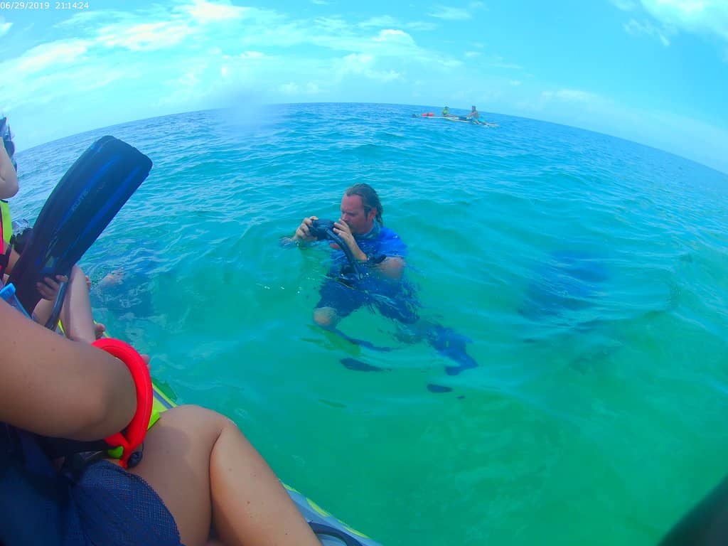 Abundant Marine Life