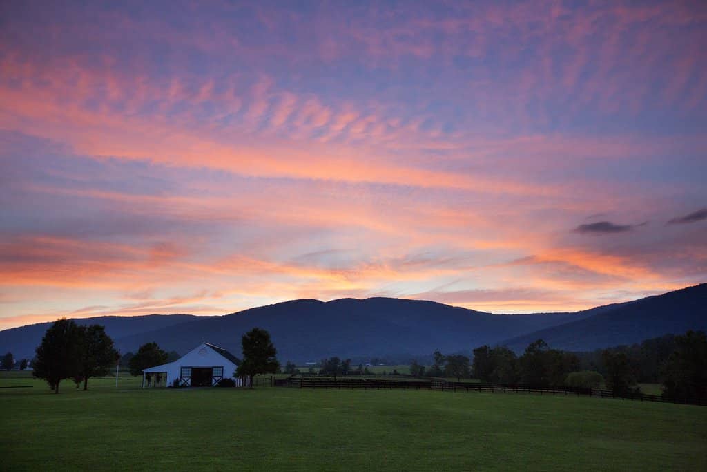 Wine Tasting Experience