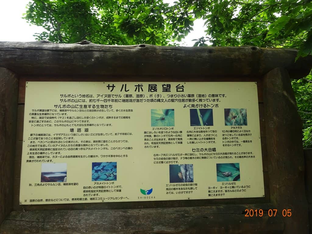 Well-Maintained Paths