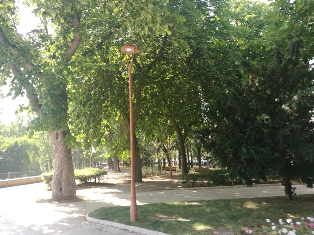 Vertical photo
